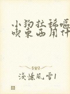 小狗拉稀呕吐不吃东西用什么药