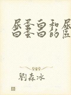 尿蛋白和尿微量白蛋白的区别