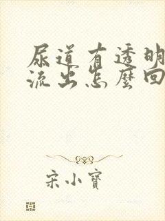 尿道有透明液体流出怎么回事