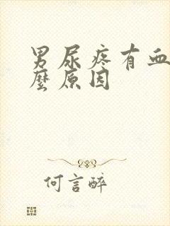 男尿疼有血是什么原因