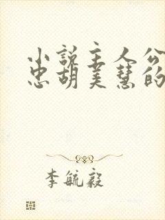 小说主人公江建忠胡美慧的小说