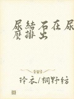 尿结石在尿道怎么排出