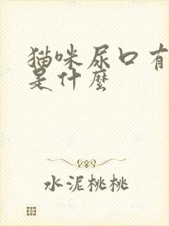 猫咪尿口有褐色是什么