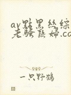 av点黑丝综合老骚熟妇.com点