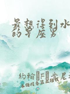 最想得到水瓶女的星座男