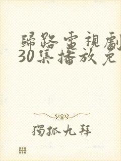 归路电视剧全集30集播放免费观看