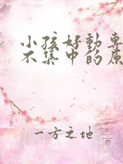 小孩好动专注力不集中的原因