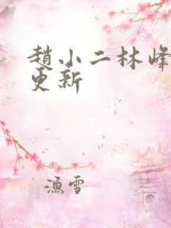 赵小二林峰宁欣更新