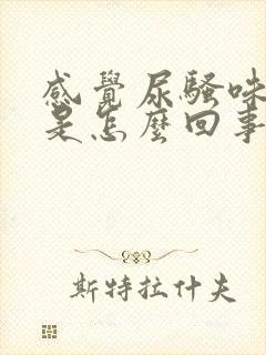 感觉尿骚味很重是怎么回事