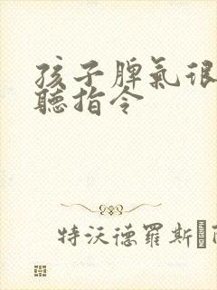 孩子脾气很大不听指令