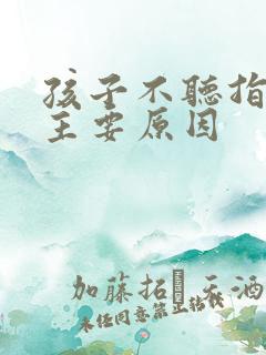 孩子不听指令的主要原因