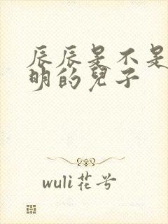 辰辰是不是沈皓明的儿子