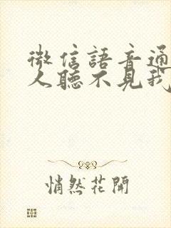 微信语音通话别人听不见我的声音