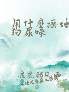 用什么擦地去除狗尿味