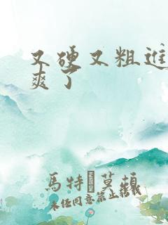 又硬又粗进去太爽了