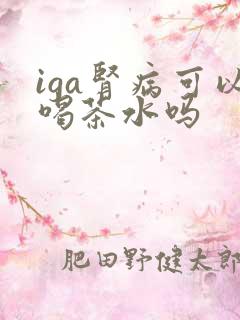 iga肾病可以喝茶水吗