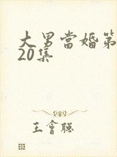 大男当婚第二部20集