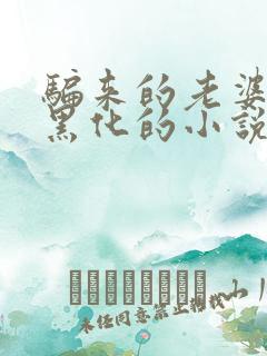 骗来的老婆是会黑化的小说