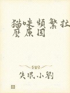 猫咪频繁拉尿什么原因