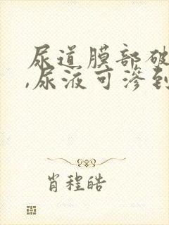 尿道膜部破裂时,尿液可渗到