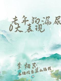 老年狗漏尿的10大表现