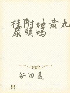 桂附地黄丸能治尿频吗