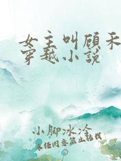 女主叫顾禾儿的穿越小说