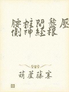 腰椎间盘压迫左侧神经根