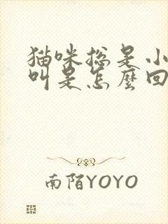 猫咪总是小声的叫是怎么回事