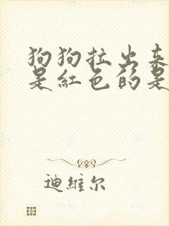 狗狗拉出来的尿是红色的是什么原因