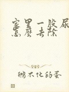 家里一股尿骚味怎么去除