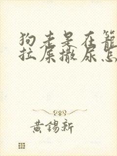 狗老是在笼子里拉屎撒尿怎么办