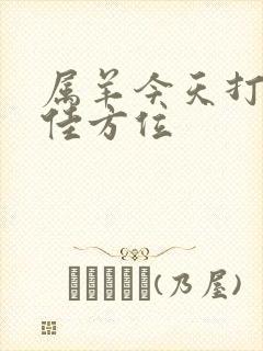 属羊今天打牌最佳方位