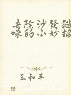 去除沙发猫尿骚味的小妙招