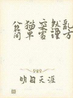 公猫突然乱尿最简单处理方式