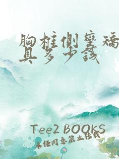 胸椎侧弯矫正支具多少钱