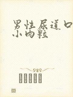 男性尿道口上长小肉粒