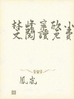 林峰宁欣小说全文阅读免费阅读