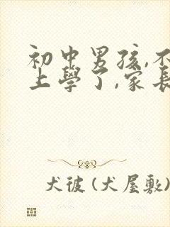 初中男孩,不想上学了,家长该怎么办