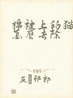 棉被上的猫尿味怎么去除