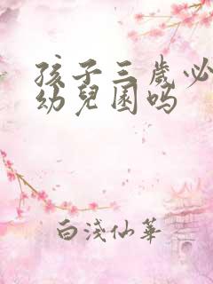 孩子三岁必须上幼儿园吗