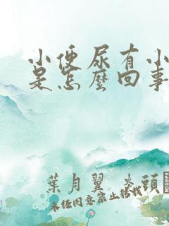 小便尿有小泡泡是怎么回事