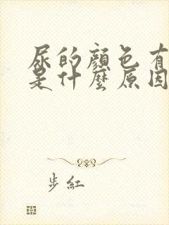 尿的颜色有点红是什么原因