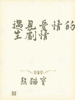 遇见爱情的利先生剧情