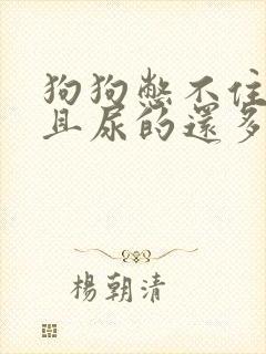 狗狗憋不住尿而且尿的还多