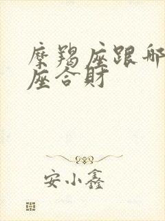 摩羯座跟哪个星座合财