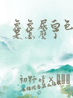 兔兔尿白色的尿是怎么了