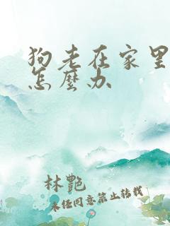 狗老在家里乱尿怎么办