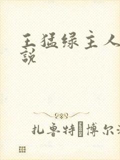 王猛绿主人生小说