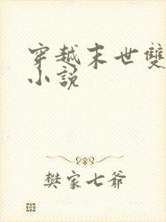 穿越末世双男主小说